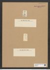 Fragilaria amphicephala Ehr. (de-Toni-Nr.: Genus 73, Species 2725) Zeichnungen Sammlung Grunow Nr. 5573 (NHMW-BOT-W0374043)